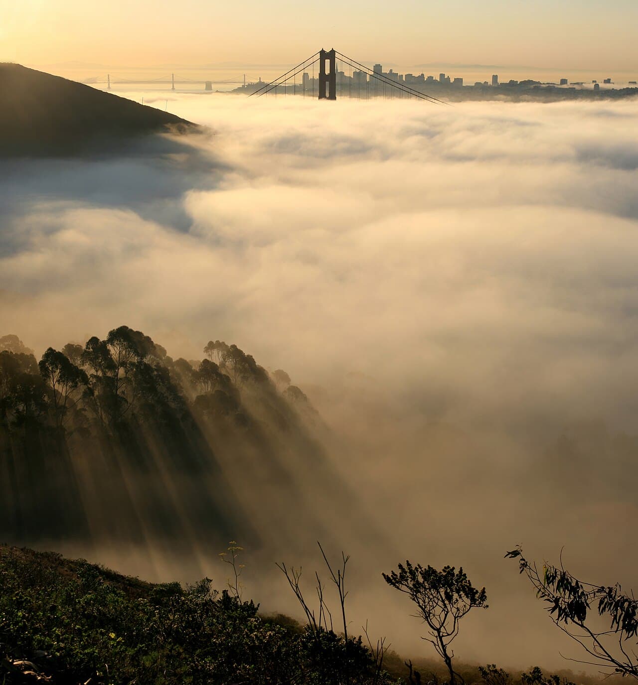 San Francisco, the Bay Bridge, and Golden Gate Bridge in coastal fog.